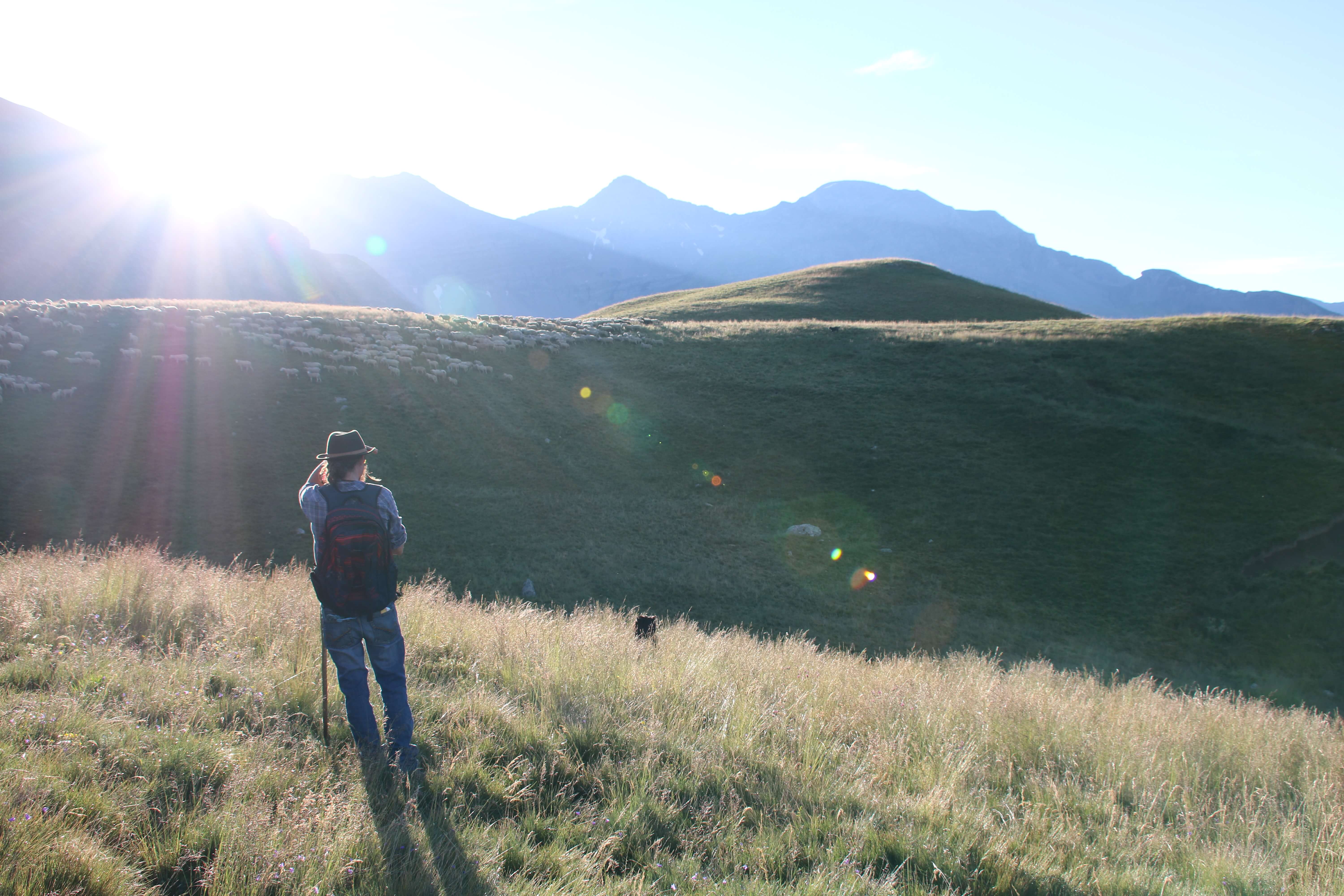 festival a la rencontre des bergers
